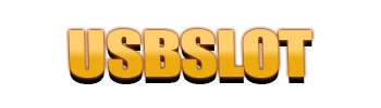 Logo USBSLOT